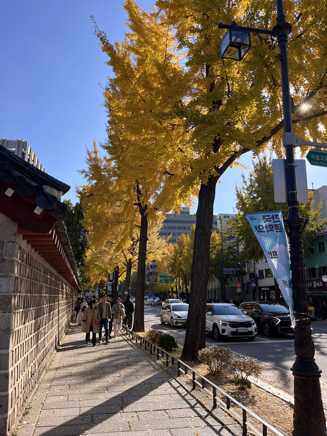 서울에서 가장 예쁜 단풍명소, 효자로단풍길🍁