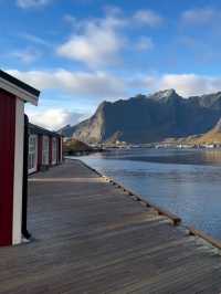 ชมแสงเหนือที่ Lofoten 