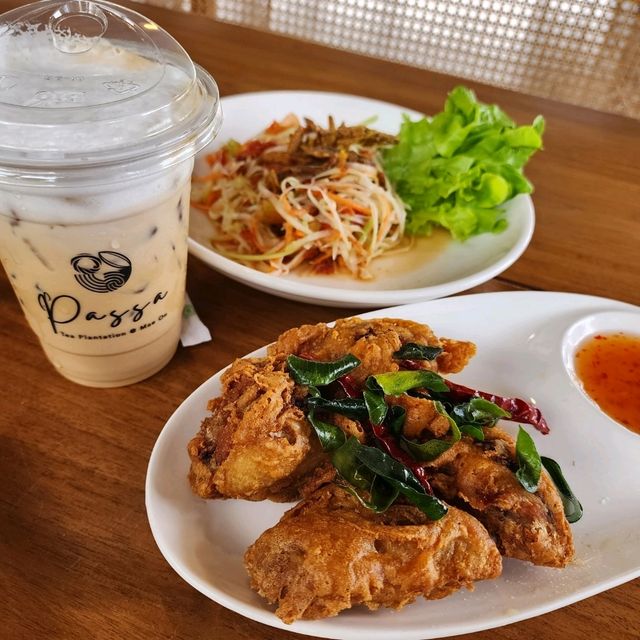 แลนด์มาร์ค [เปิดใหม่] ไร่ชาผัสสะ : แม่ออน
