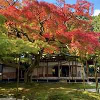 雷山千如寺大悲王院，超過1300年歷史