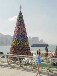 香港🇭🇰西九20米巨型聖誕樹🎄