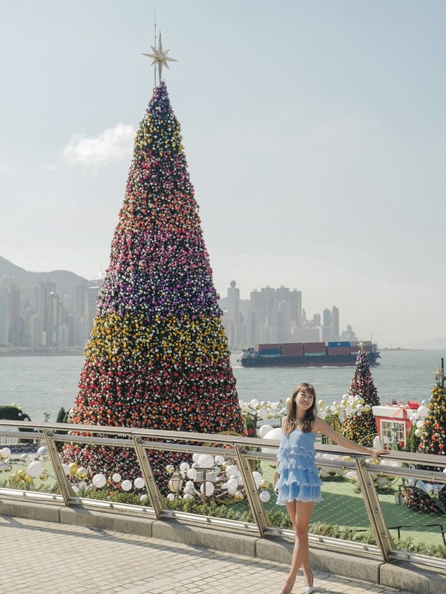 香港🇭🇰西九20米巨型聖誕樹🎄
