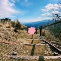 【神奈川×大野山】初心者でも楽しめる富士山絶景ハイク！