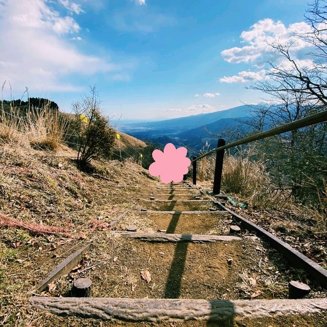 【神奈川×大野山】初心者でも楽しめる富士山絶景ハイク！