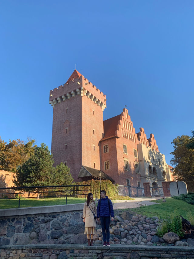 Royal Grandeur: Exploring Poznań's Historic Castle