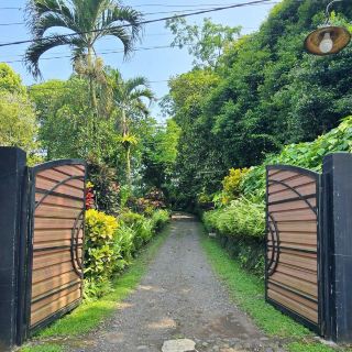 Immersing in the Rich Heritage of Harni Plantation, Kalibaru