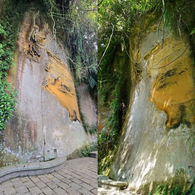 台北輕鬆親山步道🤩