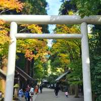 神話之地-天岩戶神社和天安河原