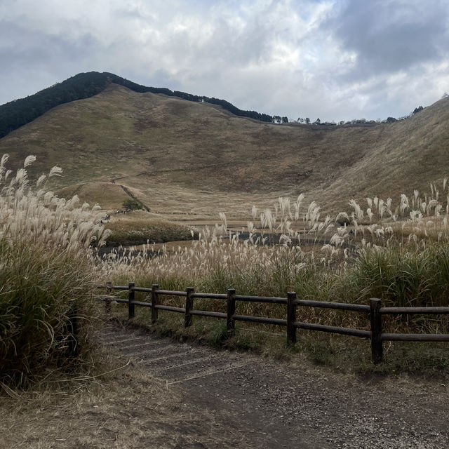 奈良県  曽爾高原