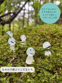 【屋久島】縄文杉を見にいくトレッキングツアーに参加した時の記録