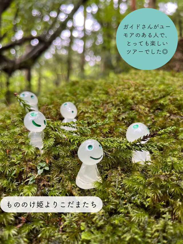 【屋久島】縄文杉を見にいくトレッキングツアーに参加した時の記録
