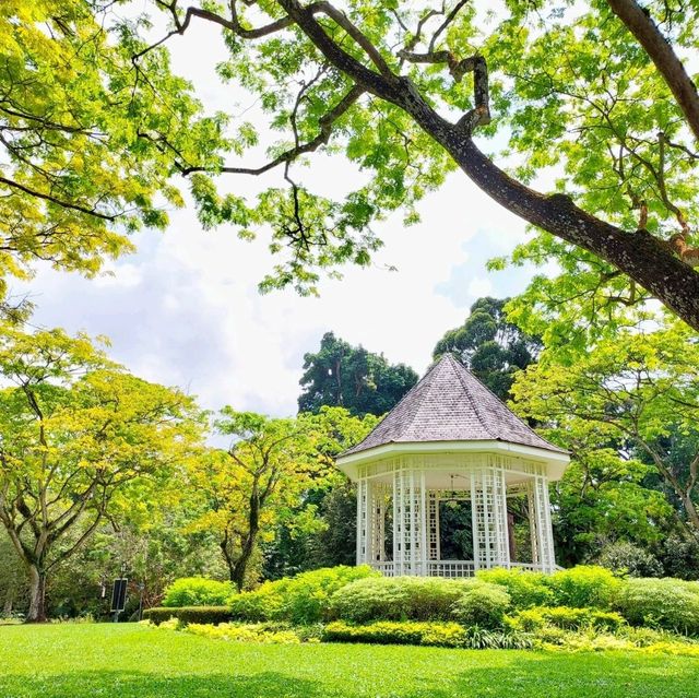 Singapore Botanic Gardens : สวนใหญ่ใจกลางเมือง
