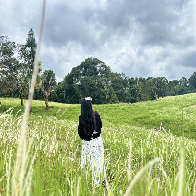 หนองผักชี Khao Yai 🌿 ⛰️