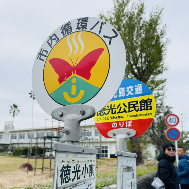 指宿：从长崎鼻去JR最南站打卡