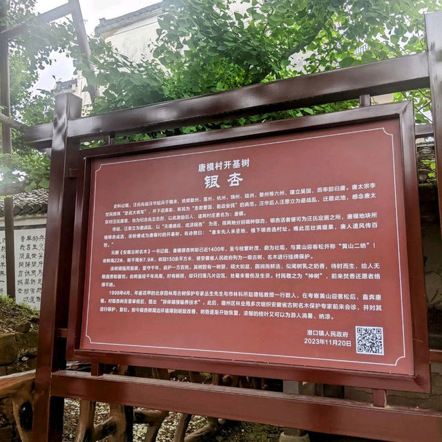 以風水佈局的水口林園第一村：唐模景區
