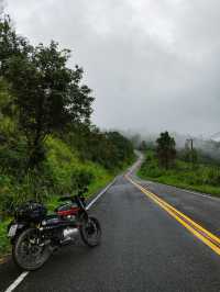 Sapan in rainy season.Nan province,Thailand