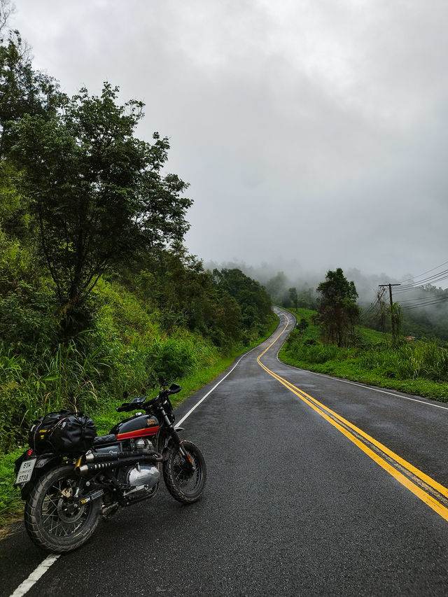Sapan in rainy season.Nan province,Thailand