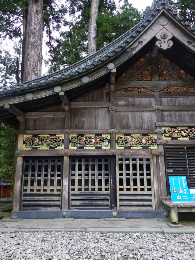 【日光東照宮】歴史と自然が織りなす絶景🇯🇵