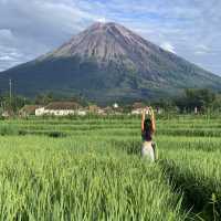 世外桃源塞梅魯火山推薦