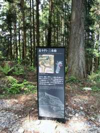 【岐阜　お城巡り】