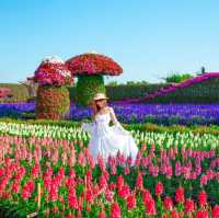   สวนเมเปิ้ล สวนดอกไม้ที่กำลังบานสวยวิวสุดอลังการ