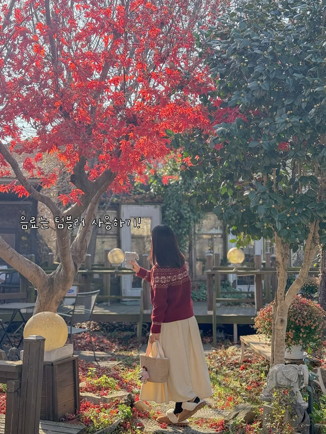 고창에서 즐기는 친환경 여행! 고창 GREEN 발자국 캠페인💚 