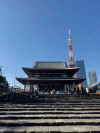 【東京】初詣にもおすすめ🤍勝ちたい時に行きたい!!徳川家康のパワーを貰おう