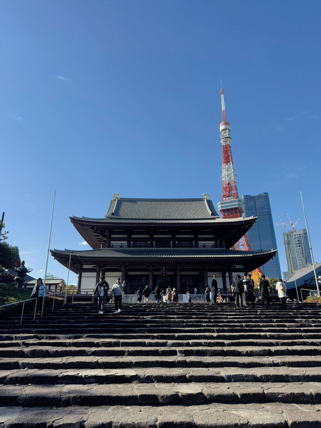 【東京】初詣にもおすすめ🤍勝ちたい時に行きたい!!徳川家康のパワーを貰おう