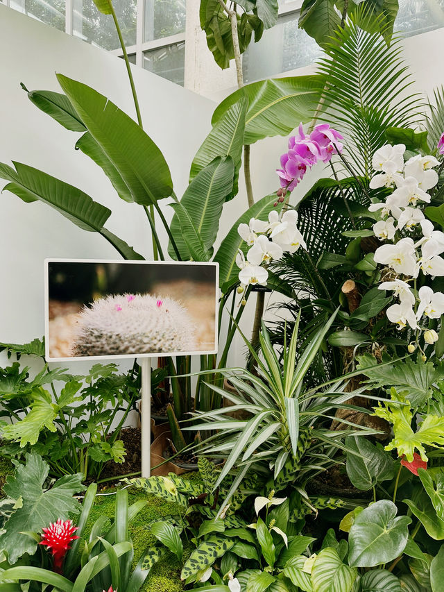 자연 속에서 식물과 힐링을, 국립세종수목원 🌲💕