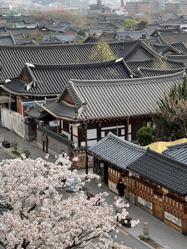 เที่ยว  jeonju hanok village