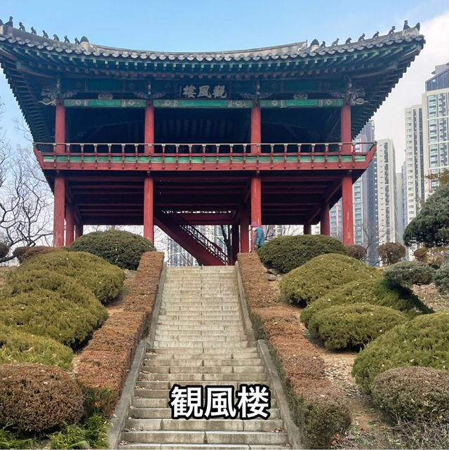 【大邱】無料で楽しめる動物園がある市民憩いの場【達城公園】　