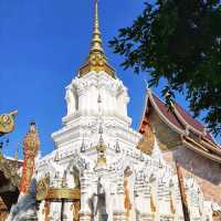 สักการะพระศรีสัพพัญญูสัมมาสัมพุทธเจ้า