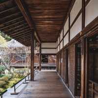 【京都】美しい臥龍廊🐉