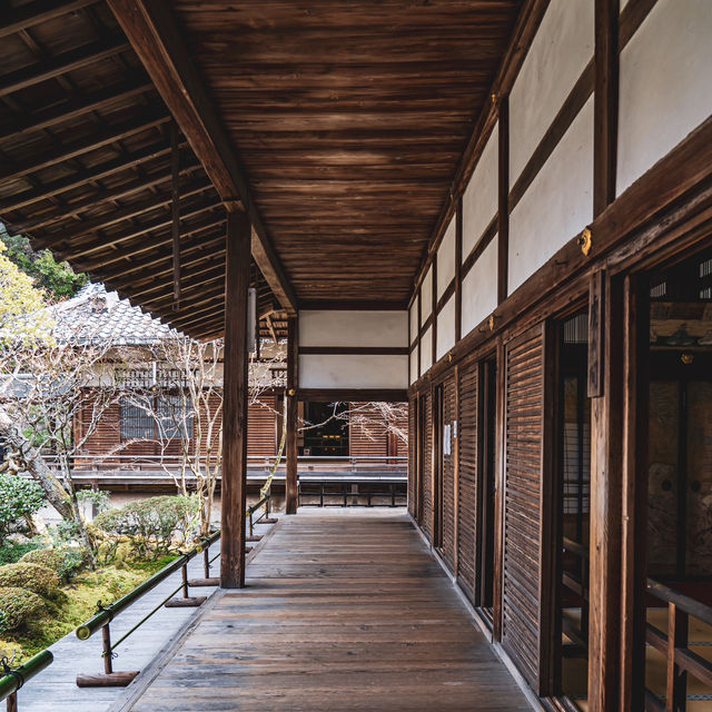 【京都】美しい臥龍廊🐉