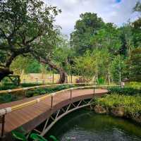 คาเฟ่เปิดใหม่ แม่กำปอง