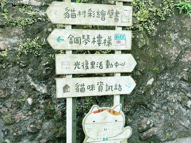 🐾 猴硐貓村：心靈的洗滌之旅 🌿
