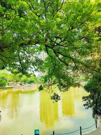 珠海白蓮洞公園：自然與歷史的交響曲🌿