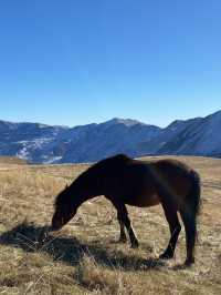 Kazbegi: A Journey Through the Caucasus