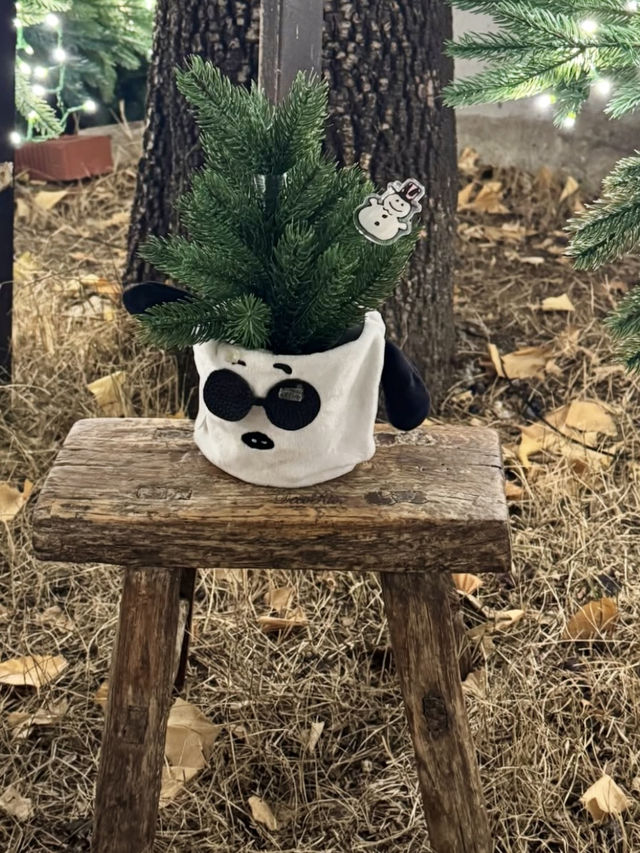 귀여운 스누피와 함께 겨울 야외데이트하기 ☃️ 좋은 종로구 야외데이트 명소💚✨