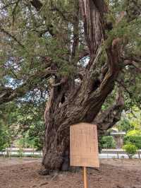 Kencho-ji