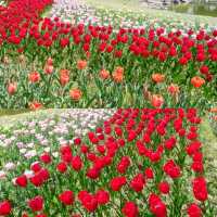 福岡好去處