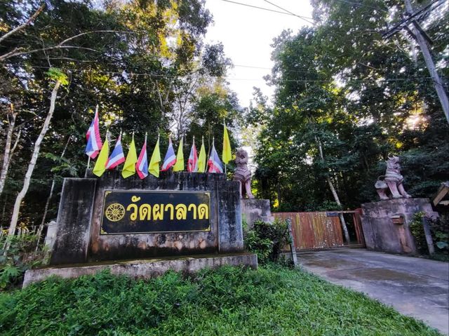 พามาวัดร่มรื่นริมน้ำตกในอำเภอเชียงแสน