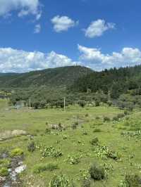 A Day in Paradise: Exploring the Serenity of Potatso National Park in Shangri-La