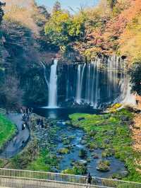 【静岡県】大迫力‼️数百の絹糸のような滝✨