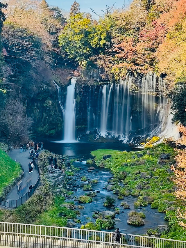 【静岡県】大迫力‼️数百の絹糸のような滝✨