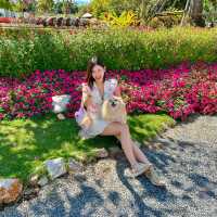 MITRA.KHAOYAI มองมุมไหนก็น่ารัก 