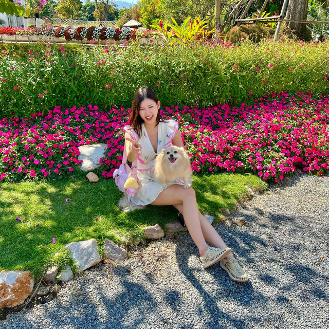 MITRA.KHAOYAI มองมุมไหนก็น่ารัก 