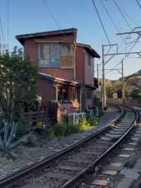 Grilled Fish and Passing Trains at Cafe Yoridokoro in Kamakura
