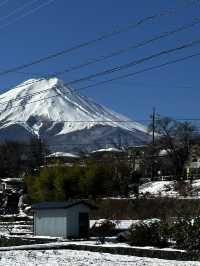 日本🇯🇵新宿到下吉田   找尋富士山美景🗻一日遊 