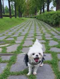 🐾강아지의 천국 부산시민공원🌳
